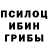 Галлюциногенные грибы MAGIC MUSHROOMS Dima Kylchitskiy