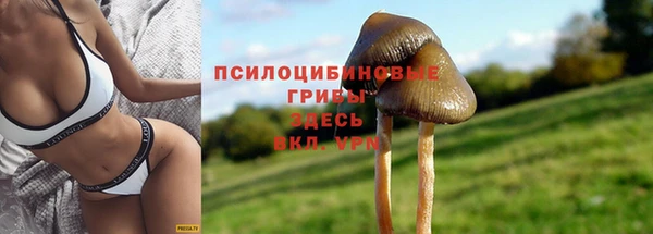 spice Абдулино