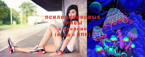 сатива Алзамай